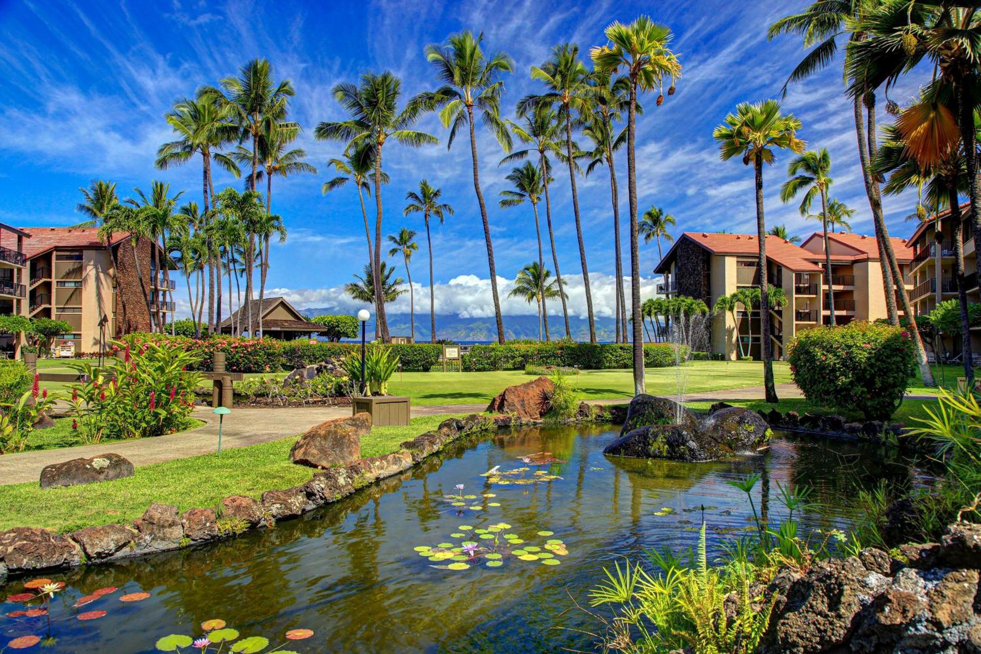 Papakea Resort Napili-Honokowai Rom bilde